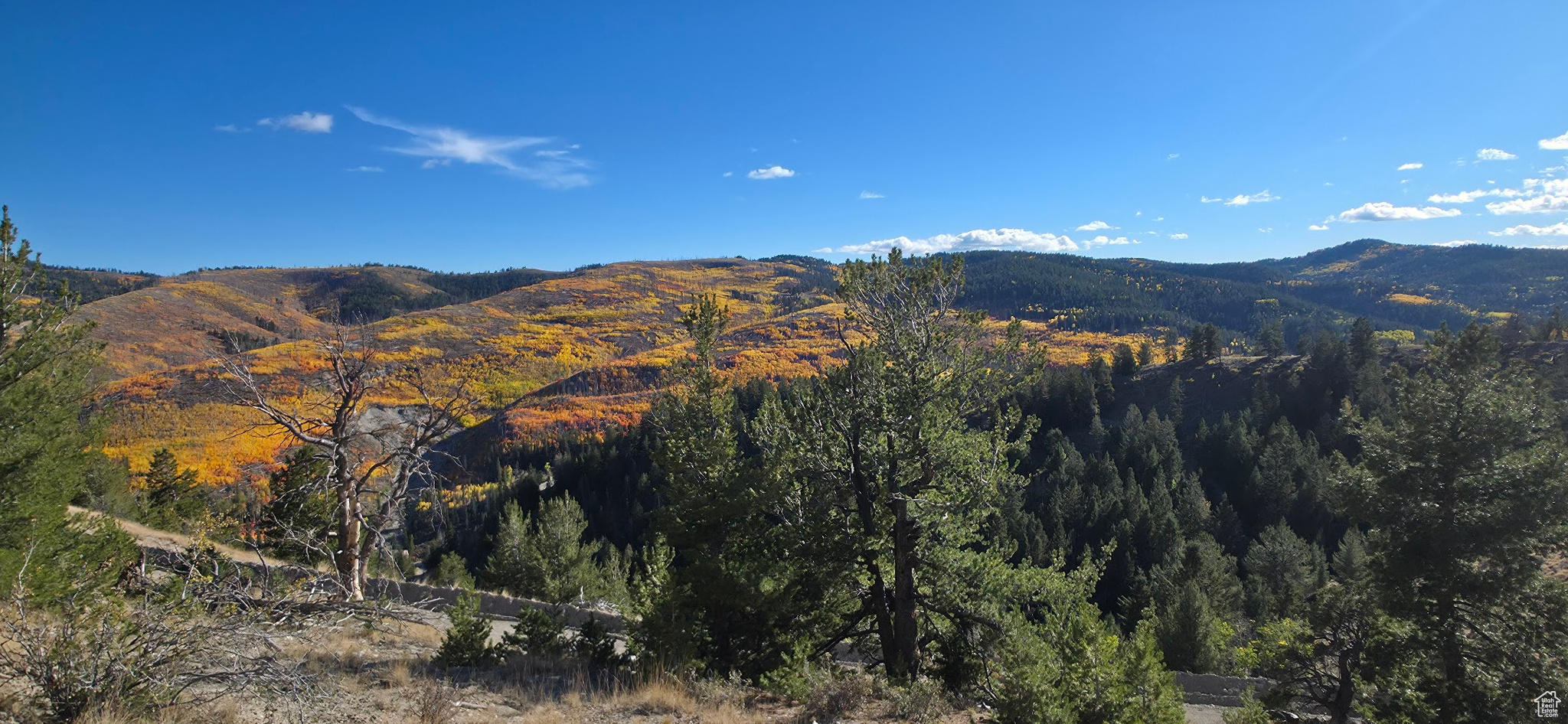 ARGYLE CANYON - Land