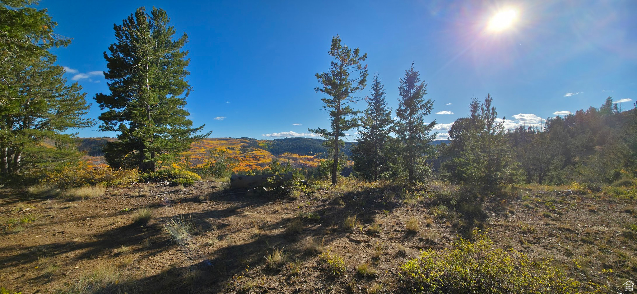 ARGYLE CANYON - Land
