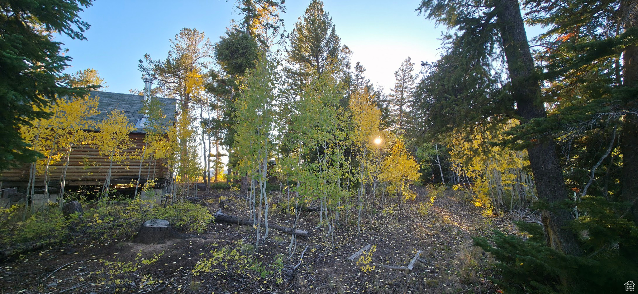 ARGYLE CANYON - Land