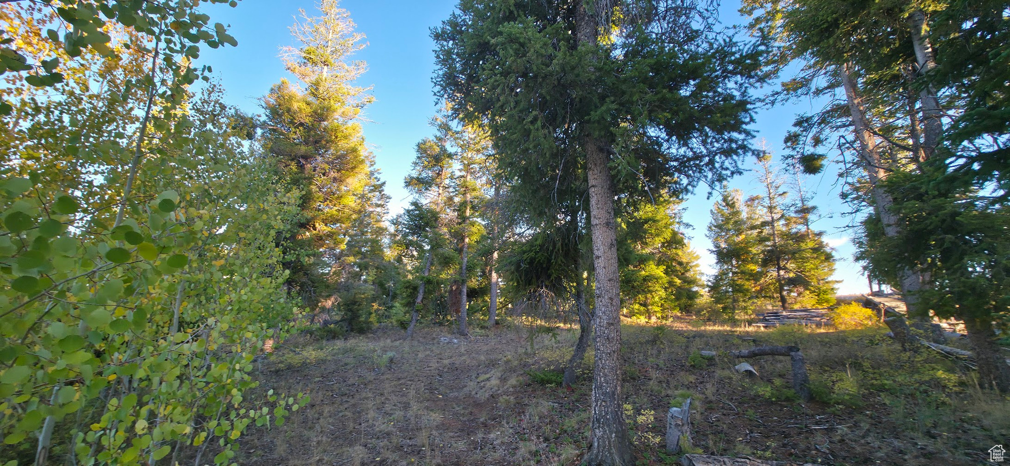 ARGYLE CANYON - Land