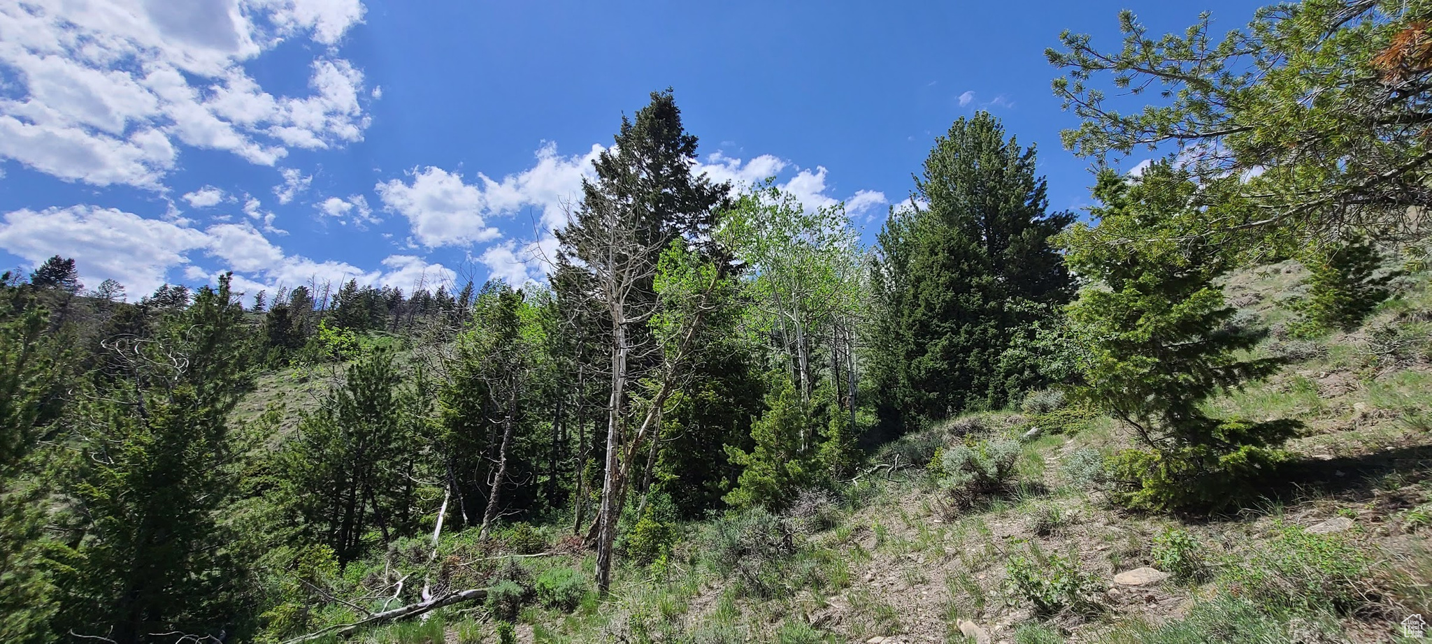 ARGYLE CANYON - Land