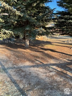 CEDAR CLIFF ESTATES - Land