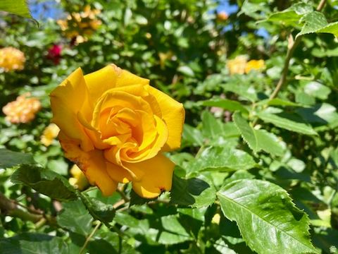 Tiny photo for 3984 S LUETTA DR, Millcreek, UT 84124 (MLS # 2136135)