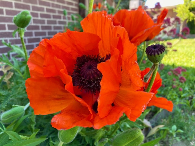 LUETTA SUB - Residential