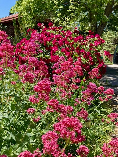 Tiny photo for 3984 S LUETTA DR, Millcreek, UT 84124 (MLS # 2136135)