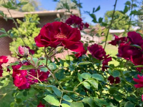 Tiny photo for 3984 S LUETTA DR, Millcreek, UT 84124 (MLS # 2136135)