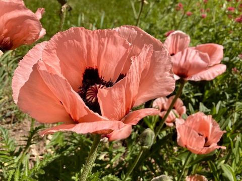 Tiny photo for 3984 S LUETTA DR, Millcreek, UT 84124 (MLS # 2136135)