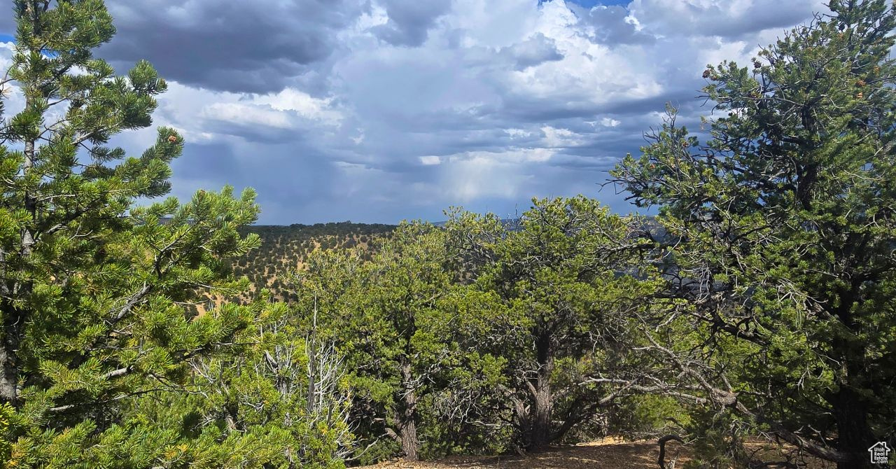 CEDAR MOUNTAIN - Land