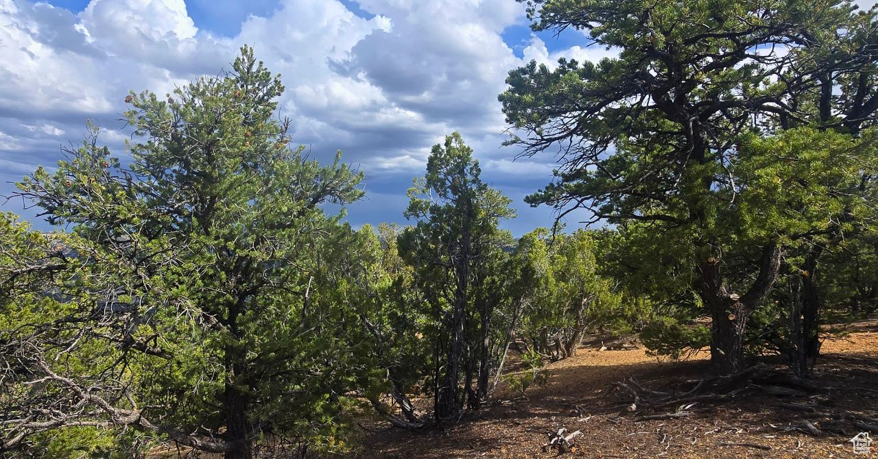 CEDAR MOUNTAIN - Land