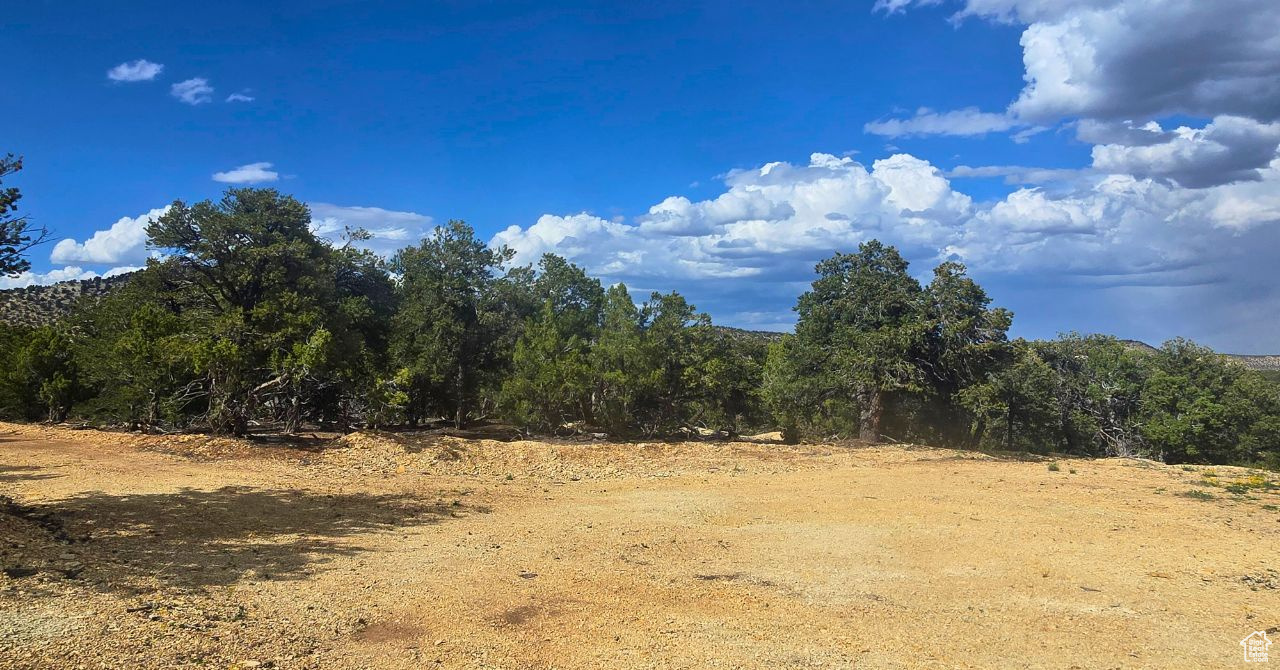 CEDAR MOUNTAIN - Land