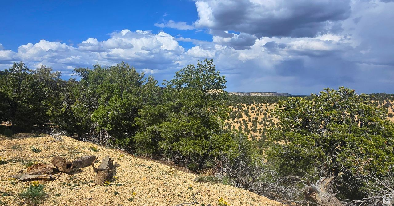 CEDAR MOUNTAIN - Land