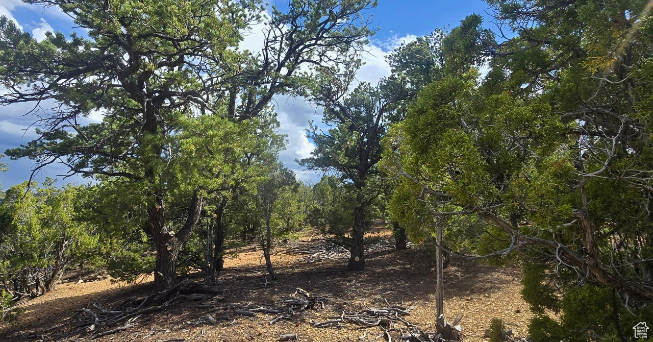 CEDAR MOUNTAIN - Land