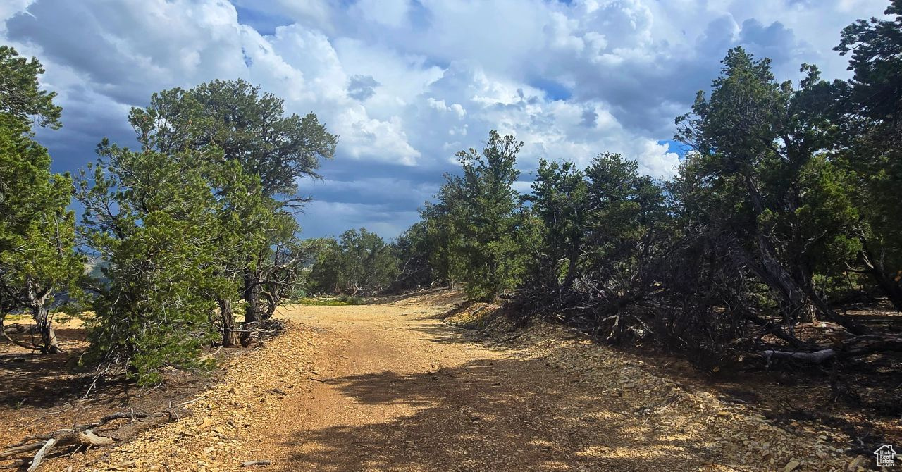 CEDAR MOUNTAIN - Land