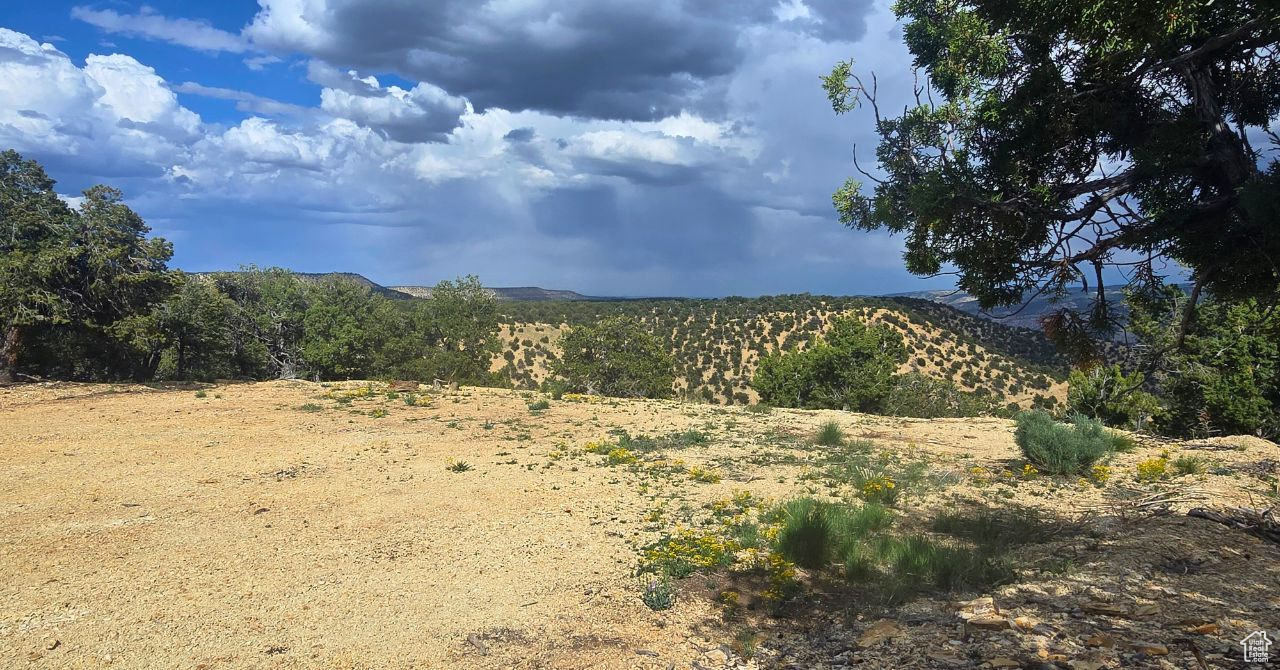 CEDAR MOUNTAIN - Land