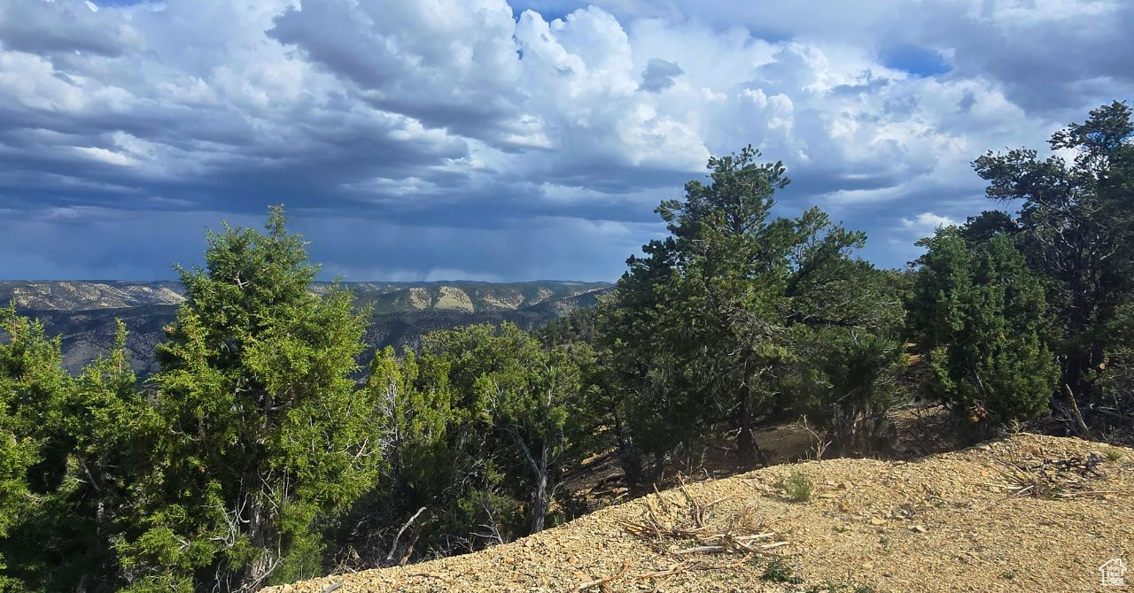 CEDAR MOUNTAIN - Land