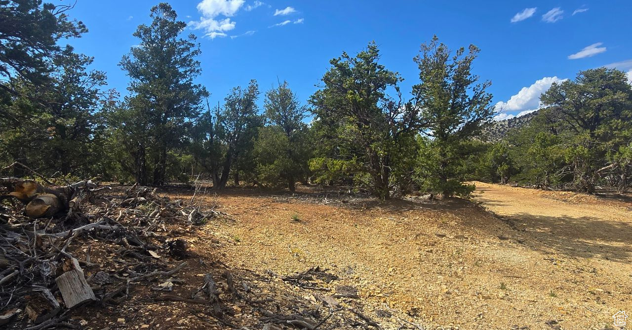 CEDAR MOUNTAIN - Land