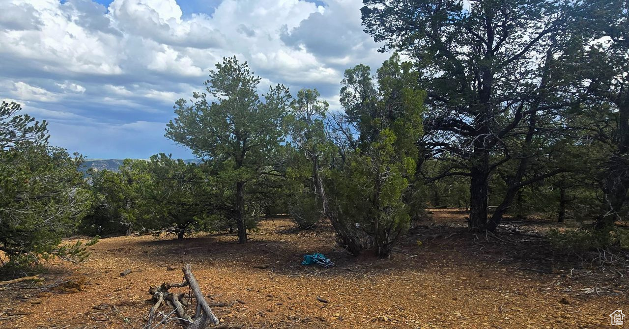 CEDAR MOUNTAIN - Land