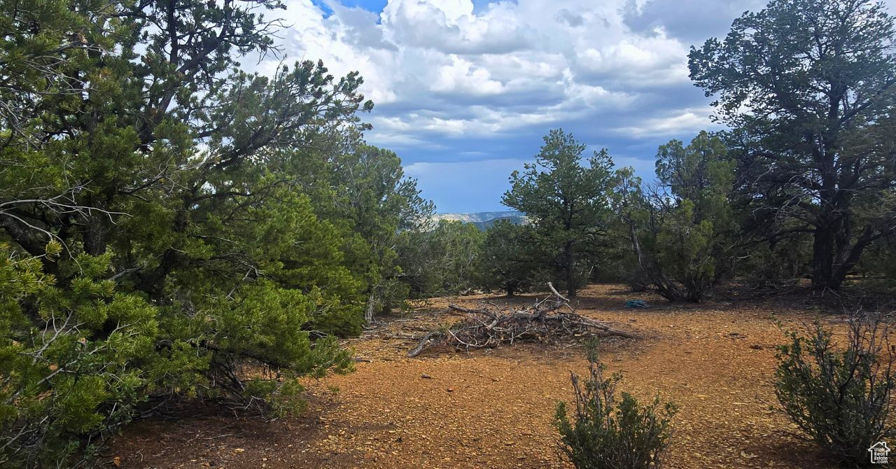 CEDAR MOUNTAIN - Land