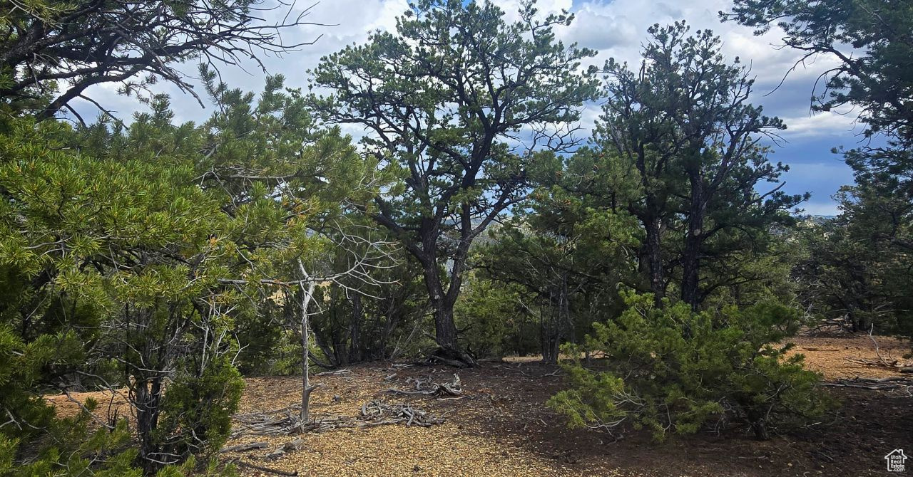 CEDAR MOUNTAIN - Land