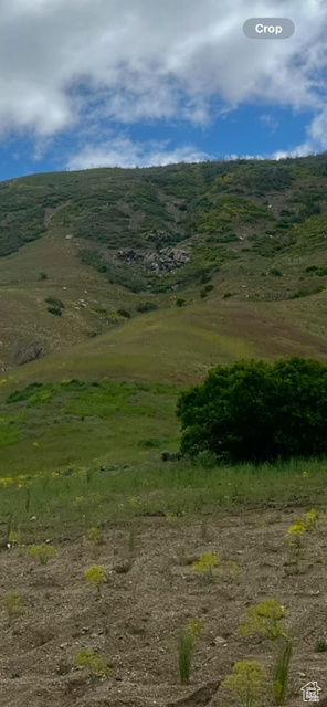 ROCK LOFT RIDGE ESTATES - Land