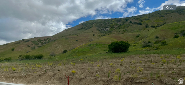 ROCK LOFT RIDGE ESTATES - Land