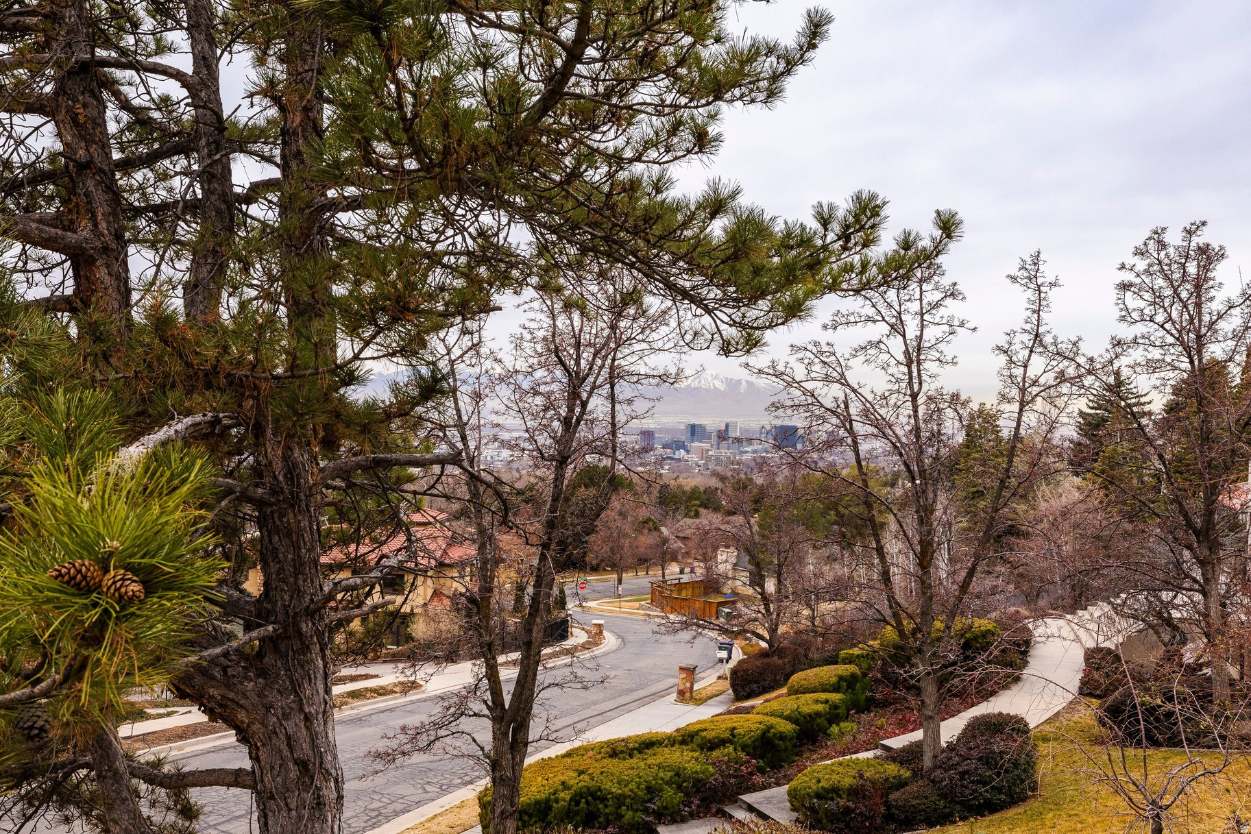 FEDERAL HEIGHTS - Residential