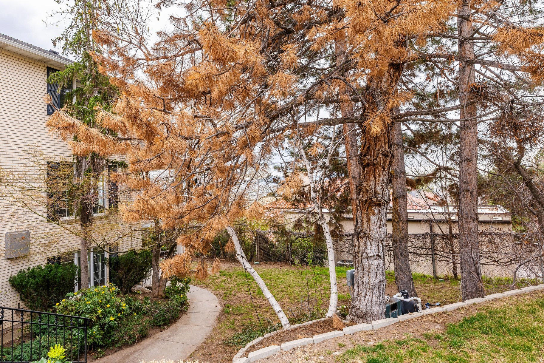 FEDERAL HEIGHTS - Residential