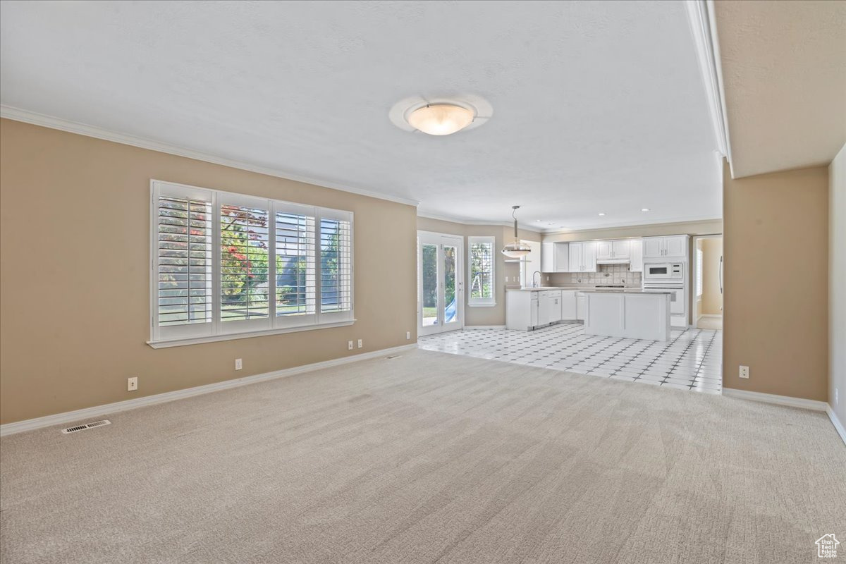 WASATCH DOWNS - Residential