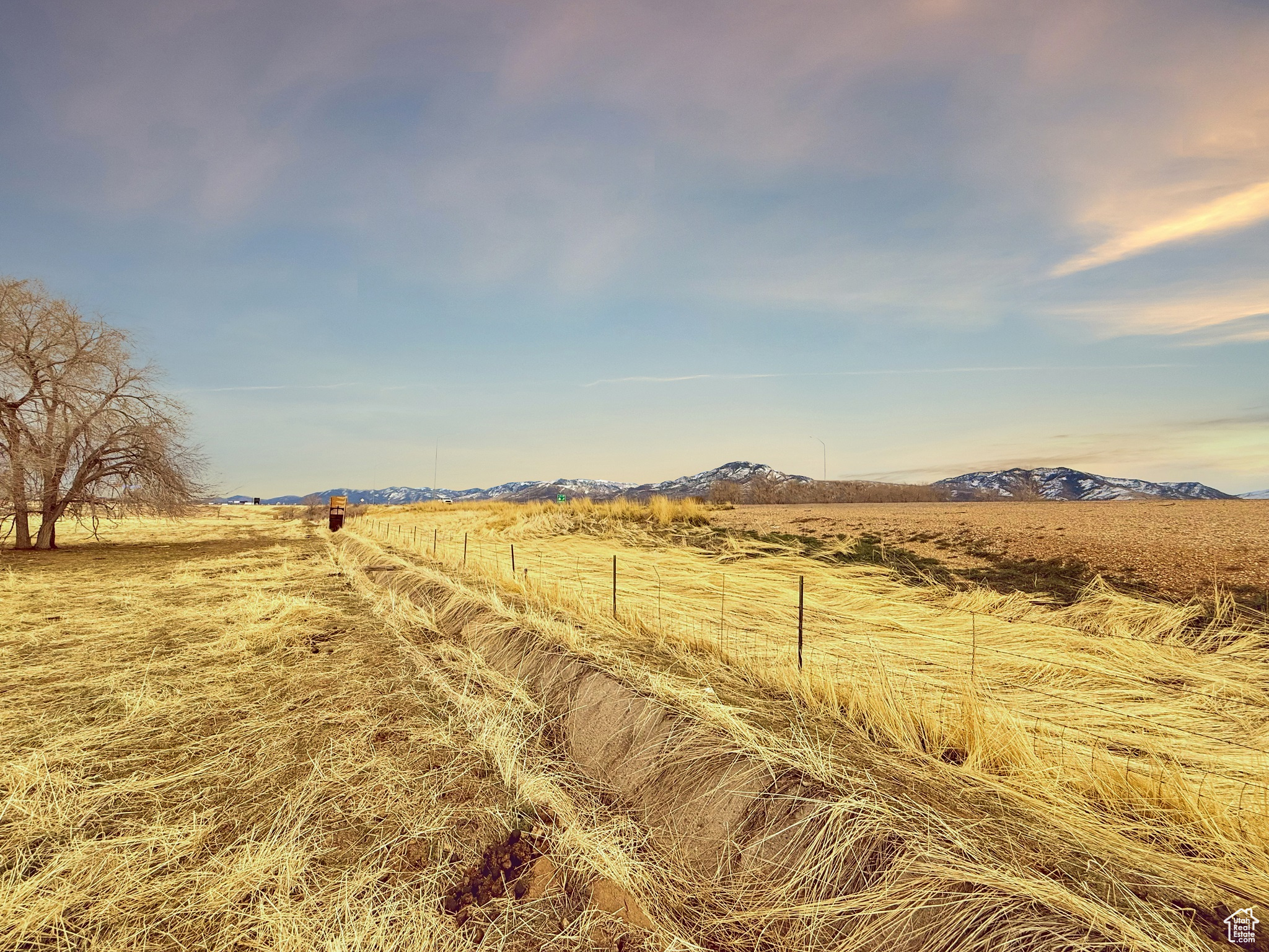 900 N Pink Elephant, Fillmore, Utah image 3