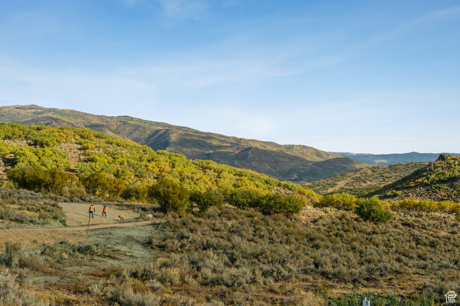 MOUNTAIN CREST - Land