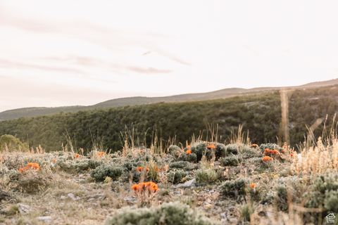 Vacant Land For Sale - 2650 W Taylor Mtn Rd #2,3,4,<br/> Vernal, UT 84078