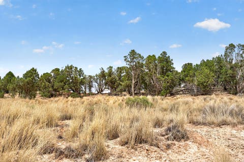 Tiny photo for 1233 E CLAY HILL DR #B, Monticello, UT 84535 (MLS # 2179949)