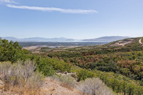 Tiny photo for 16072 S FIELDING HILL LN #1001, Draper, UT 84020 (MLS # 2182234)