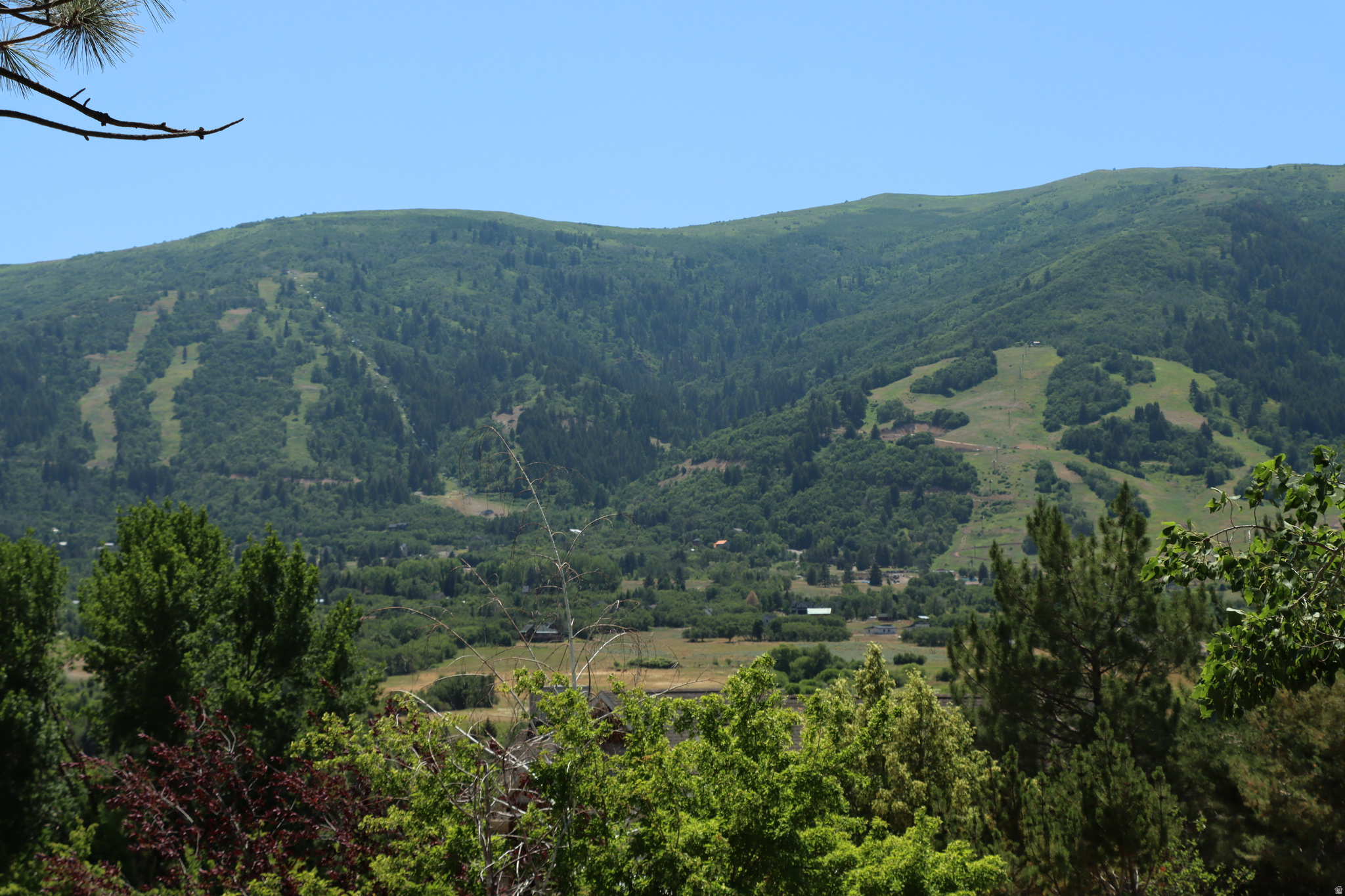 SUMMIT AT SKI LAKE - Land