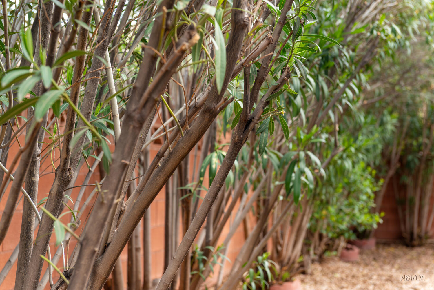 ZION VIEW ESTATES 1 - Residential