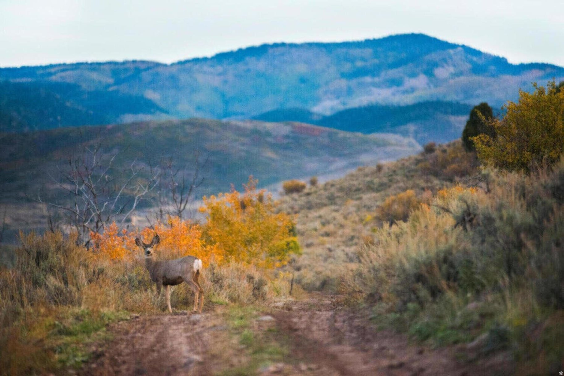 VICTORY RANCH - Residential