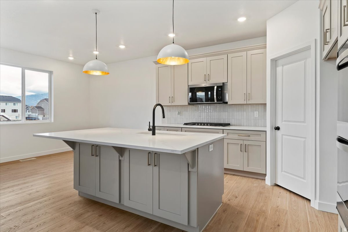 NORTH LAKE MEADOWS - Residential