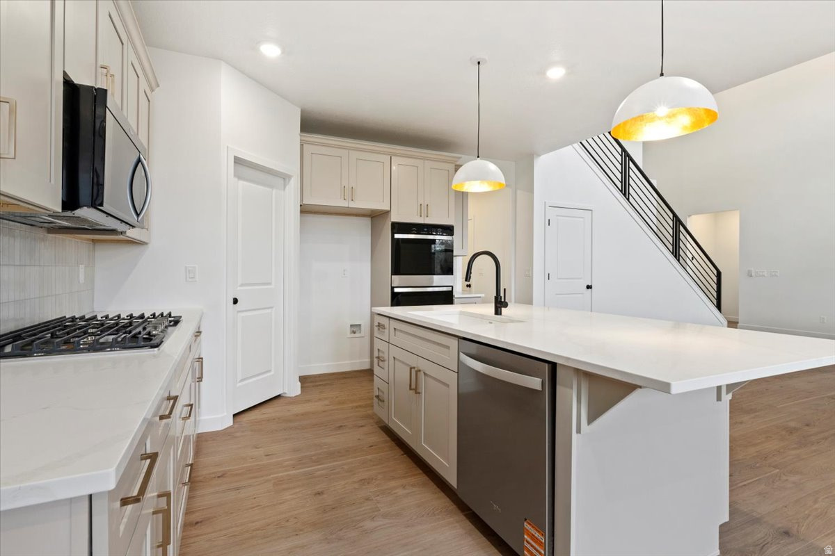 NORTH LAKE MEADOWS - Residential