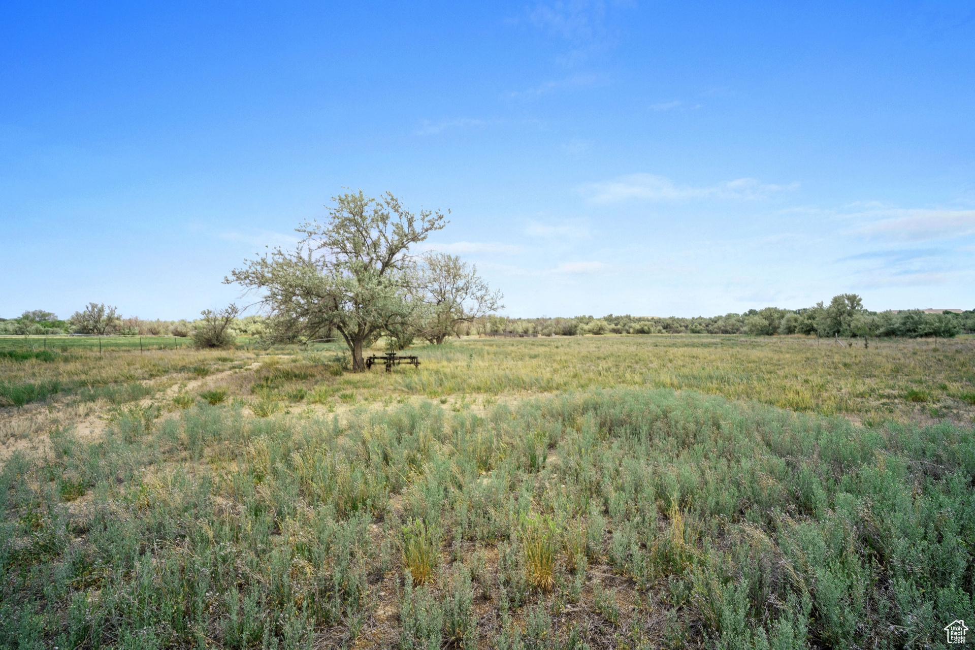 4649 W 4000, Roosevelt, Utah image 7