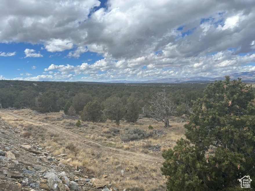 13 acres in the Pinion-Ridge area, between Fruitland and Duchesne. Power is along the North access road. The next door neighbor is a full time resident, but this is mainly a cabin and recreational area. There's an oil location on the East end of the property that takes up about 3 acres. Located 2 hours from the Wasatch Front.