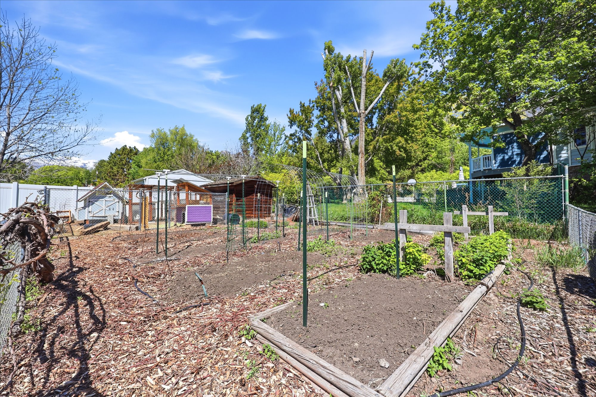 NORTH MEADOW - Residential