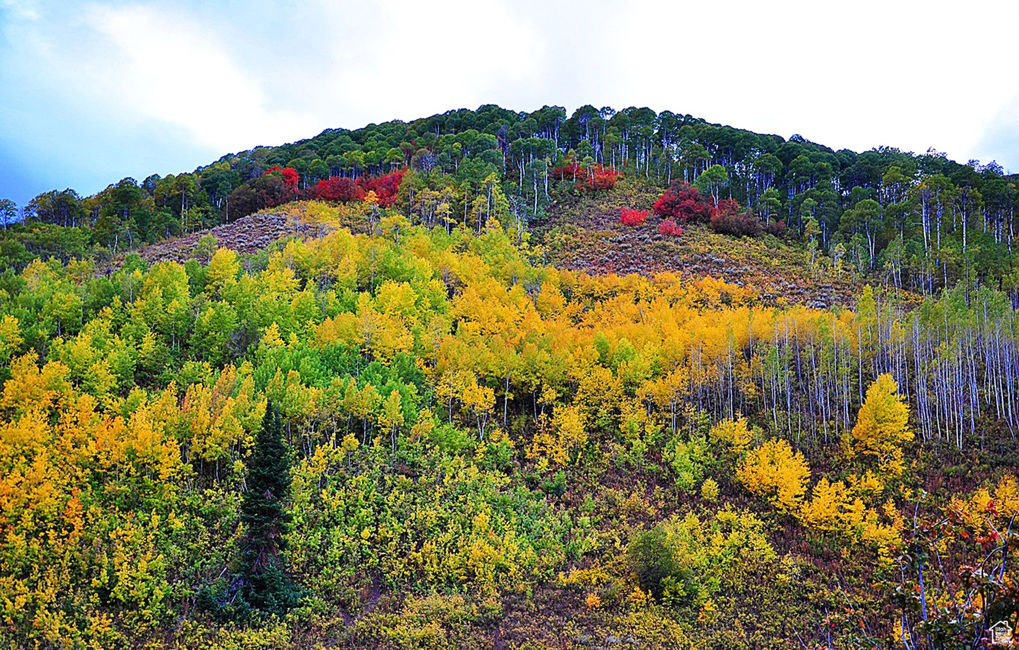 Middle Fork Rd, Huntsville, Utah image 1