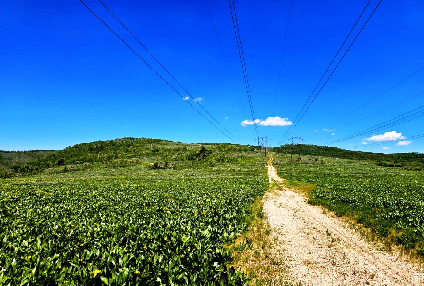 Middle Fork Rd, Huntsville, Utah image 16