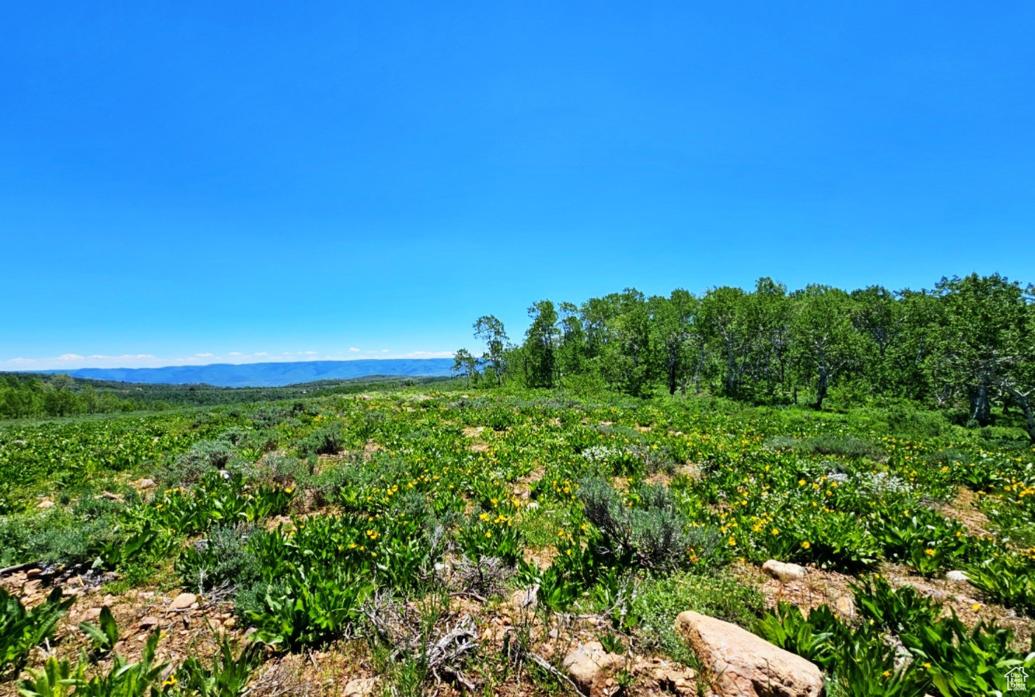 Middle Fork Rd, Huntsville, Utah image 22