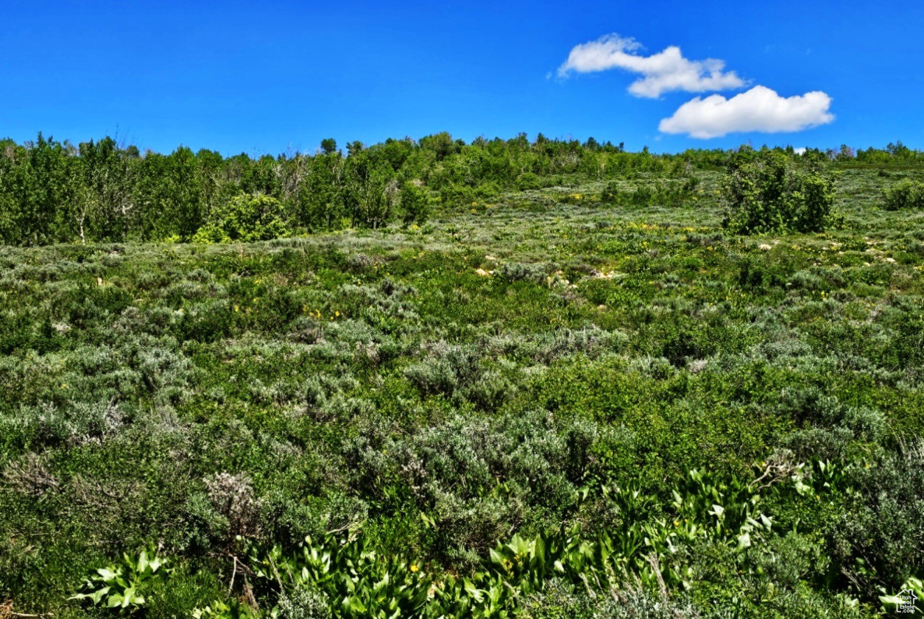 Middle Fork Rd, Huntsville, Utah image 4