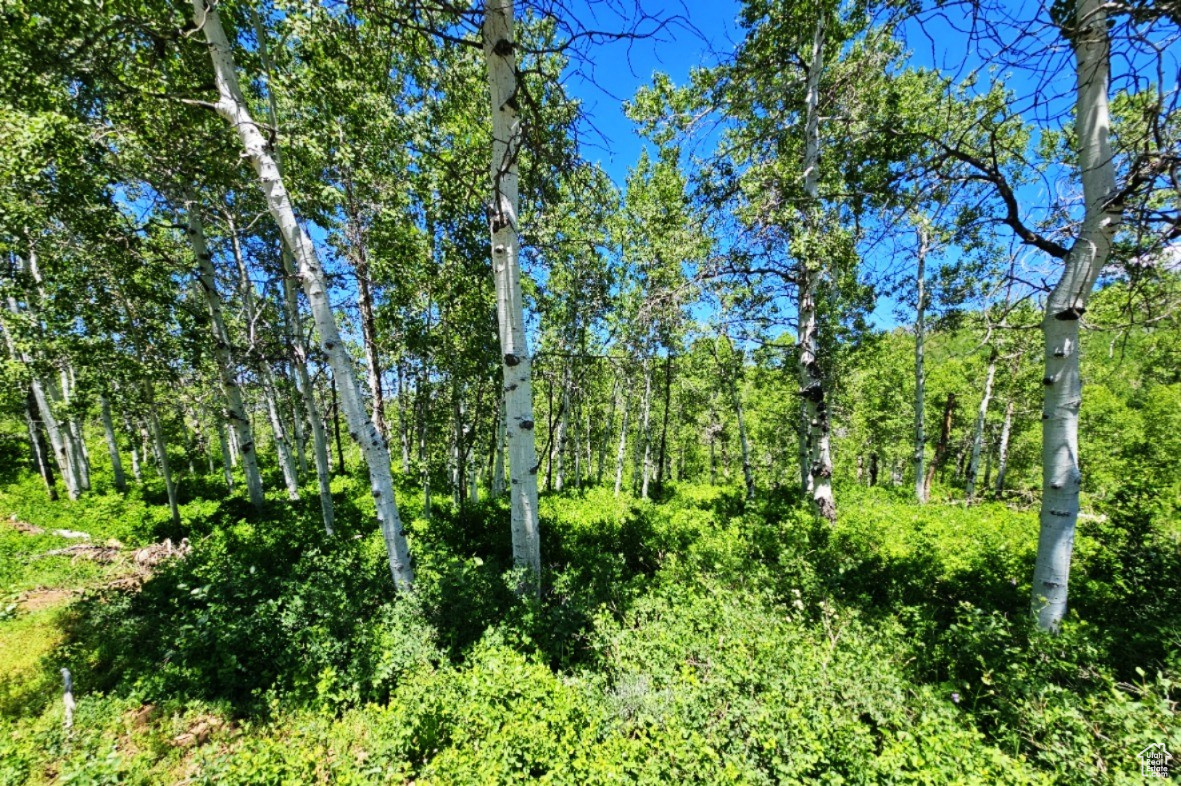 Middle Fork Rd, Huntsville, Utah image 8