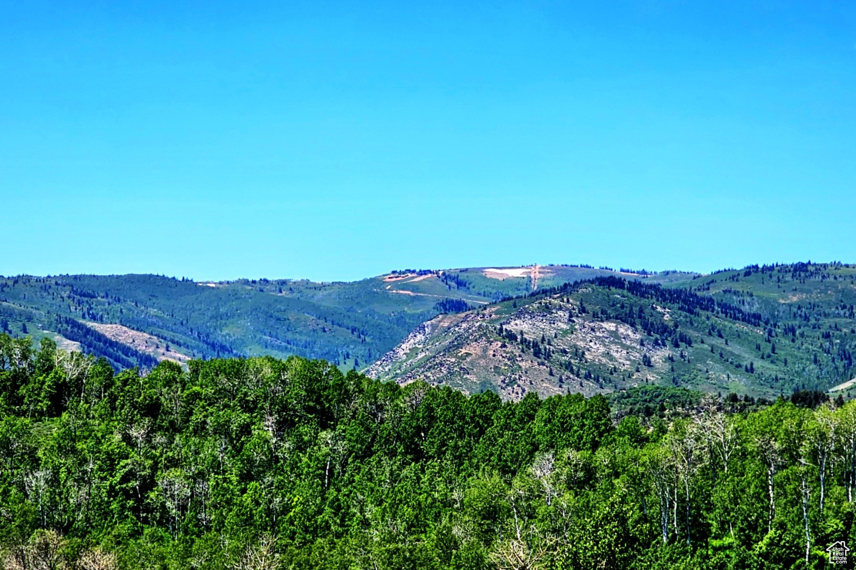 Middle Fork Rd, Huntsville, Utah image 19