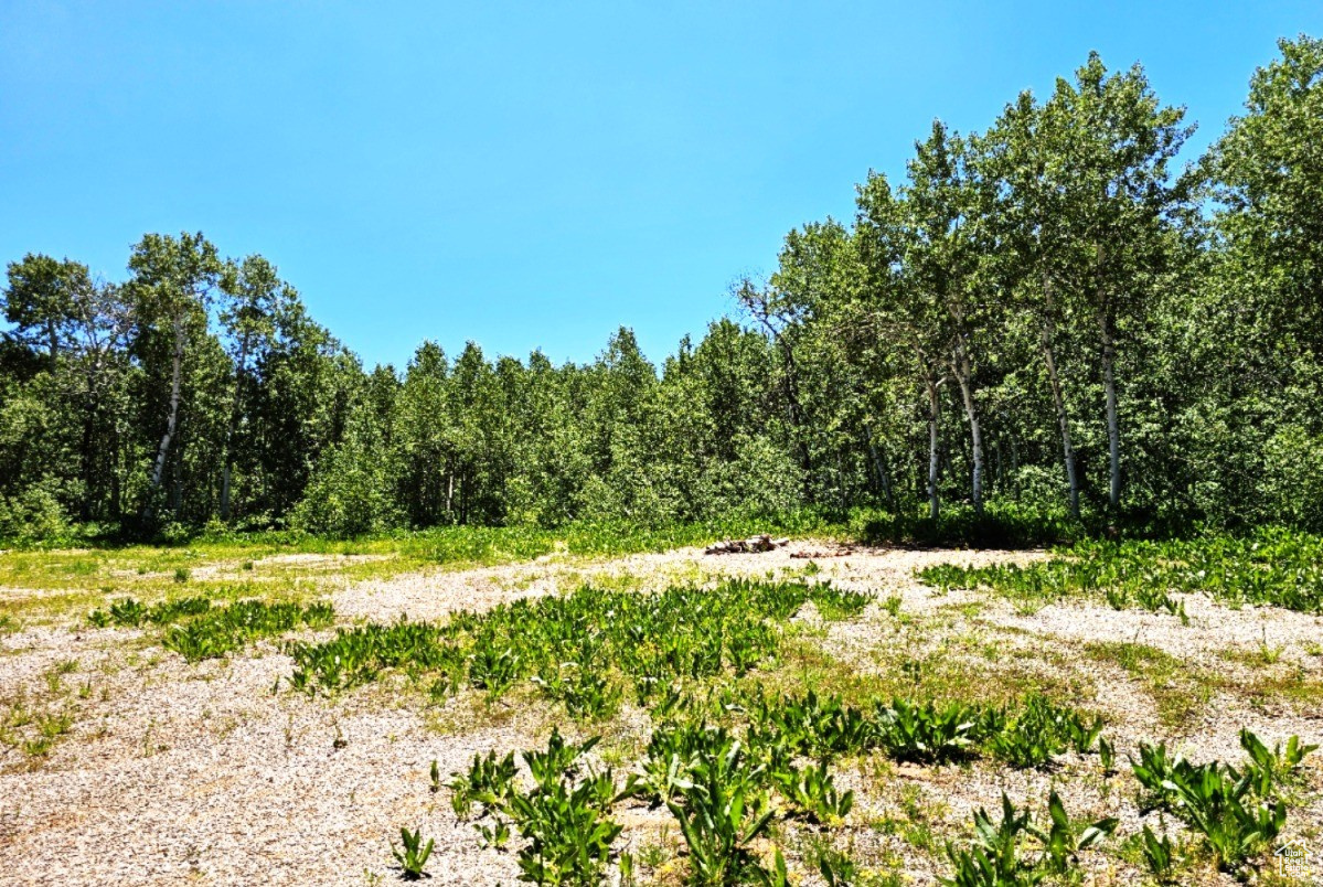 Middle Fork Rd, Huntsville, Utah image 7