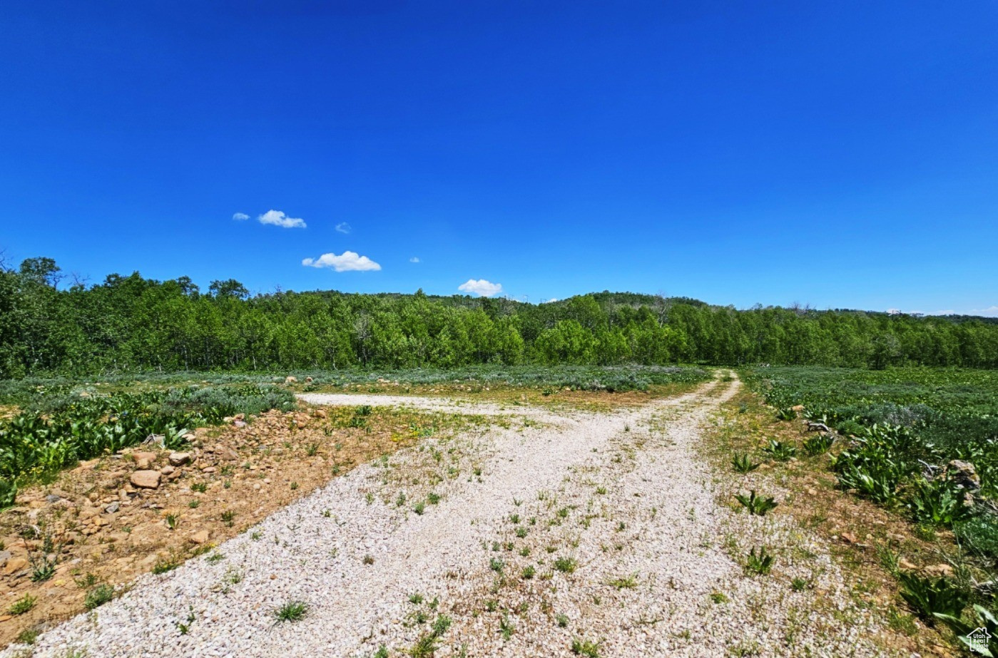 Middle Fork Rd, Huntsville, Utah image 2