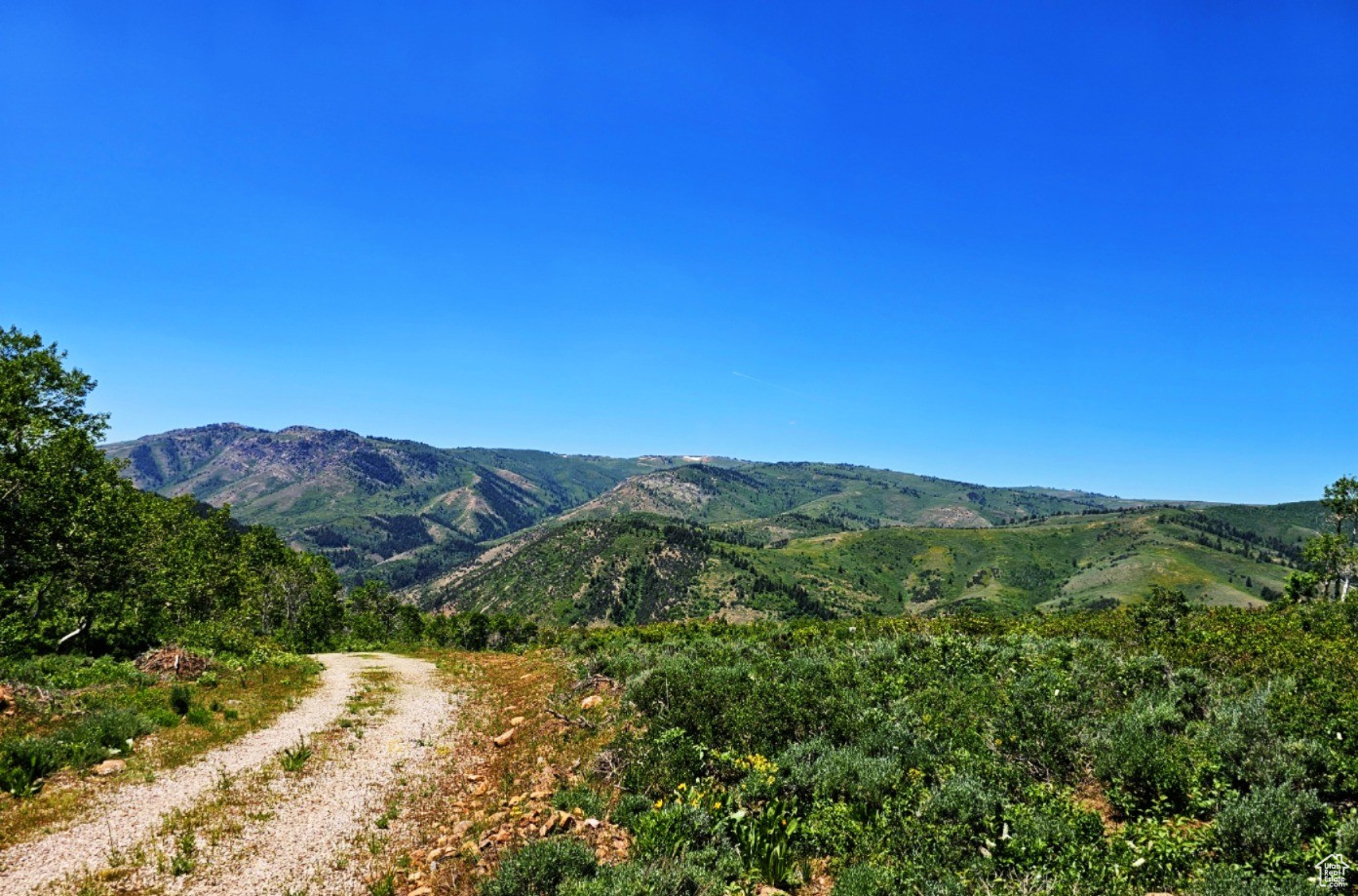 Middle Fork Rd, Huntsville, Utah image 21